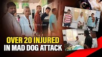 Mad dog attacks leave over 20 injured in Kuanpal area