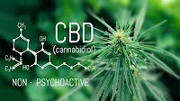 World first Australian and New Zealand trial of cannabidiol transdermal gel for the most common hard-to-treat epilepsy type in adults