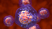 OptiTROP-Breast05: Sacituzumab Tirumotecan Shows 71% ORR in Advanced TNBC