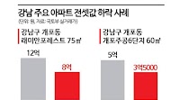 3000 Households Moving In... Gaepo-dong Becomes the Core of Gangnam Reverse Jeonse