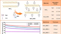 Nanosheets Covalently Functionalized with BBD Molecules for Enhanced Supercapacitor Performances