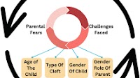 “Challenges and concerns faced by parents of a group of Egyptian children with cleft lip/palate: a qualitative study”