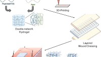 Bioinspired Supramolecular Dressing of Adaptable Programmability and Multifunctionality for Wound Healing