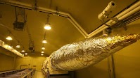 U.S. missile defense system is ‘simply unable to protect the public,’ report says