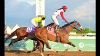 Funcaandun Creates 17-1 Upset To Win 3rd Mouttet Mile