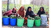 Displaced women in Somalia overcome drought and reclaim their independence