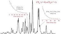 Measurements of the Rovibrationally Dependent Lifetimes of C