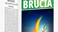 UPL launches Brucia® – Latest innovation in weed management for maize crop