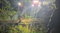 Challenging overnight rescue during storm brings mother and son to safety from hard-hit Algonquin Park