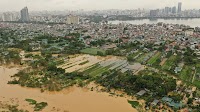 Impact of Typhoon Yagi on Vietnam: Economic Damages, Recovery Plans