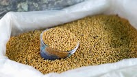 India’s Arya raises $6m pre-Series B funding to help farmers avoid low grain prices
