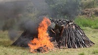 Trafficking in the Sahel: Muzzling the illicit arms trade