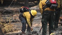 Trump’s firing of Forest Service workers raises concerns about wildfires in Oregon, the West