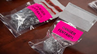 What's a 'fentanyl czar'? The Canadian government is still figuring that out