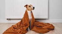 Why it's not cheaper to leave heating on low all day - with three exceptions
