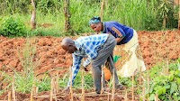 High-level Events Seek to Accelerate Peace with Nature, Biodiversity Action