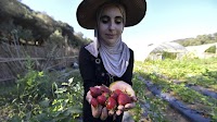 Algeria to expand agricultural financing in 2025