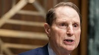 FBI cyber guidance to lawmakers falls short, US senator says