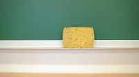 Hamburgs neue Schulleitungen und Stellvertretungen