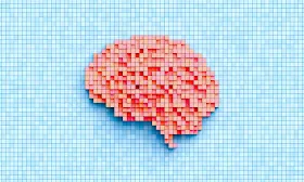 Personality Is Linked to Genes, New Study Finds