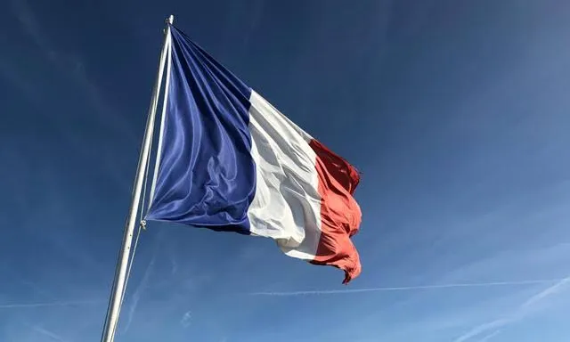 FOCUS Expériences numériques culturelles et muséales