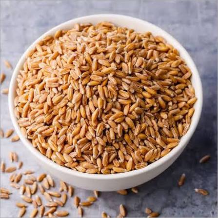 High-Yield Wheat Seeds 1kg