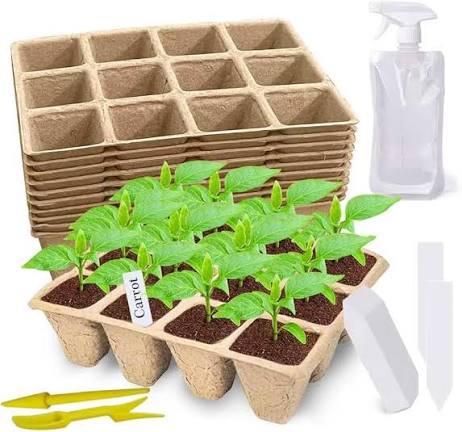 Seed Germination Starter Pack