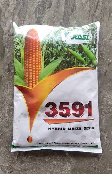 Hybrid Maize Seeds 2kg