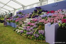2024 Specialist Plant Fairs Festivals