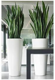 14 Fantastic Glass Vases Plant Ideas