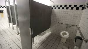 Hazards Of Public Toilet Use Debunked