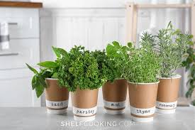 Kitchen Herb Garden Tutorial Easy Tips