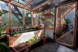 10 Great Crops For A Winter Greenhouse