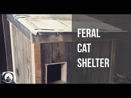 Feral Cat Shelter