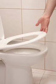 How To Replace Toilet Seat Bumpers