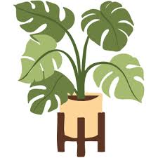 40 Indoor Plants Names With Pictures