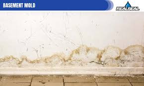 Can Mold In Basement Affect Upstairs