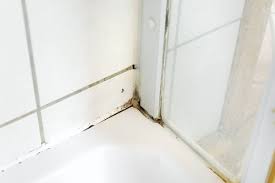 Remove Mould From Silicon Sealant