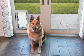 Pet An In Glass Pet Door