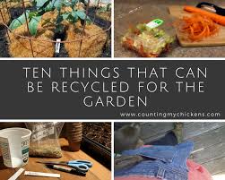 10 Things That Can Be Recycled For The
