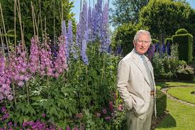 How To Grow Delphiniums Which Ones To