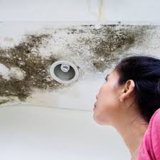 Why Bathroom Mold Keeps Coming Back