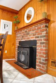 Old Woodstove Fireplace Insert