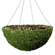 Preserved Moss Bowl Planter Hanging
