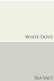 White Dove By Benjamin Moore Colour