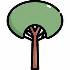 Iconfinder Tree Icon Botanical Ecology