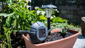 Solar Lights Options For Landscape