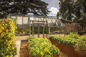 Cultivar Greenhouses Uk