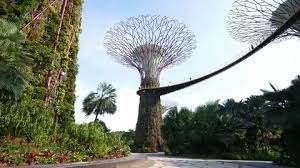 Gardens By The Bay Stock Footage