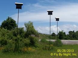 Buybathouse Fly By Night